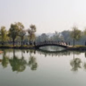 Meet your Posher, Paulette